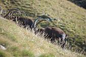 02 Incontro sotto al monte Ceppo